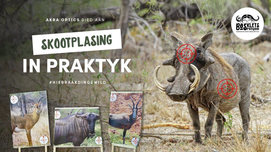 Bosklets In Praktyk - Skootplasing